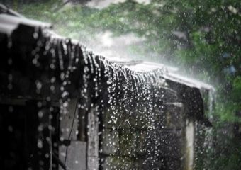 Đa số mơ thấy mưa đều có điềm báo mang lại sự may mắn cho chủ nhân